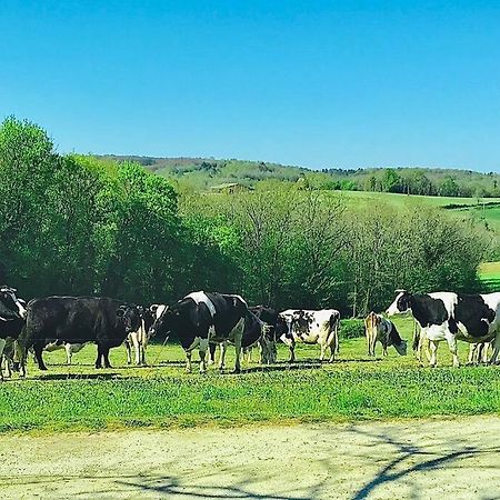 « Le Vieux Hangar » Gite A La Ferme Le Buisson-de-Cadouin Buitenkant foto